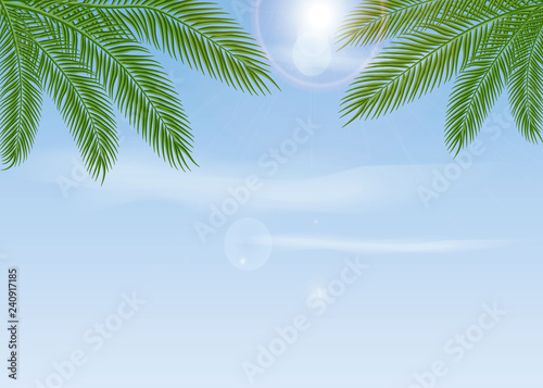 Background with Tropical Blue Sky with Palm Tree Branches