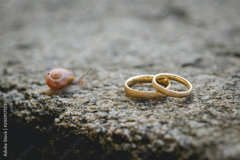 wedding rings close up