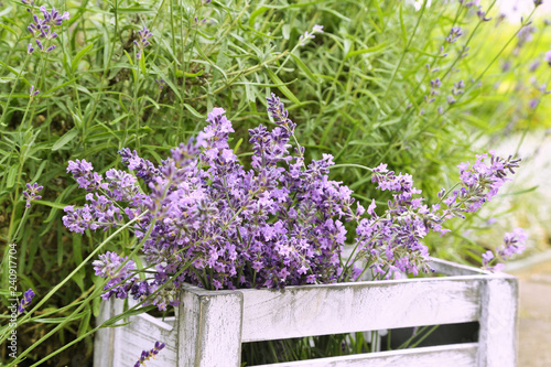 Fototapeta Naklejka Na Ścianę i Meble -  Lavender flowers in  wooden  box
