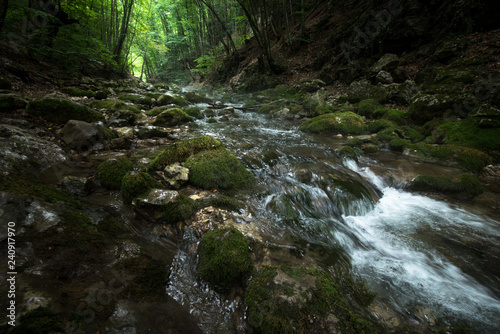 waterfall in forest