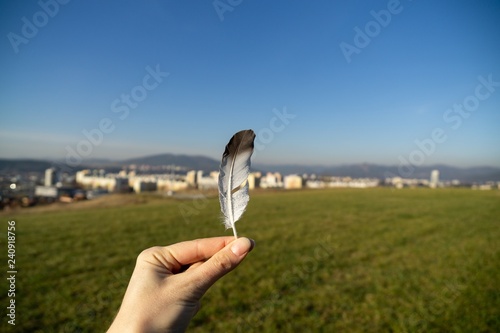 Hand holding a feather covered with ice coating. Slovakia photo