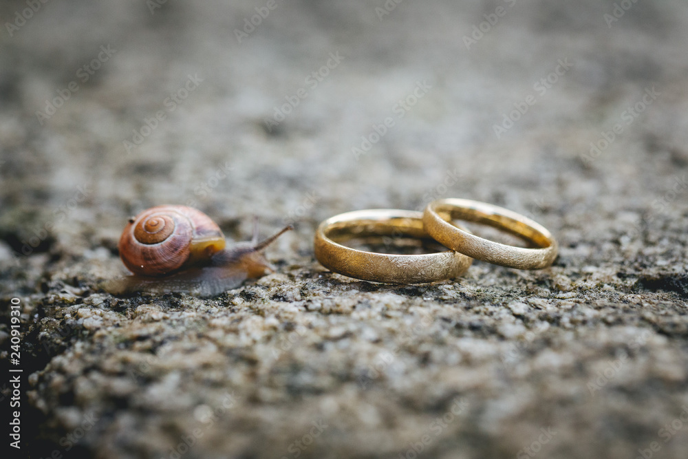 wedding rings close up