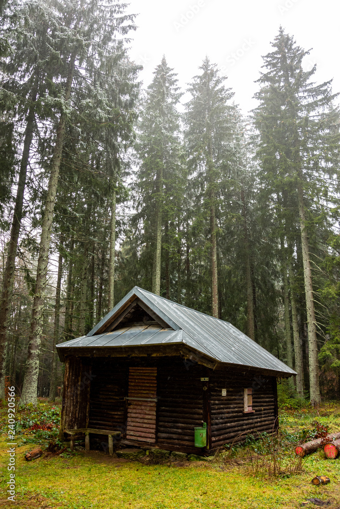 Winter rain walk in the Black Forest Germany Winter rain walk in the Black Forest Germany