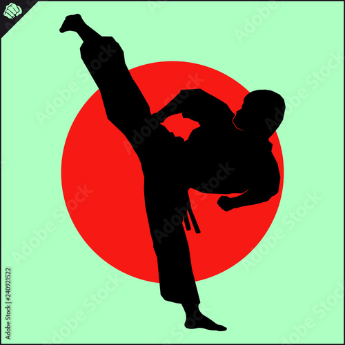 Martial art colored simbol design. Karate emblem.