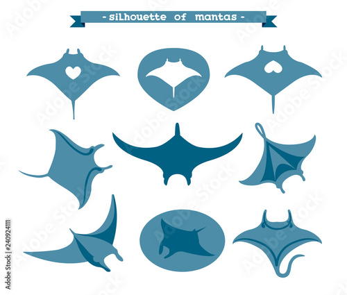 Set of manta ray