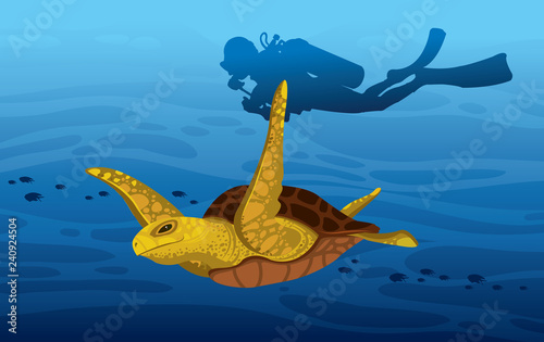 Turtle, scuba diver, underwater sea.