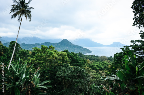 Canvas Print View of tropical landscape with palm trees and blue sky on the island of Princip