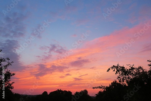 Fototapeta Naklejka Na Ścianę i Meble -  Beautiful pink sunset on blue sky and trees background