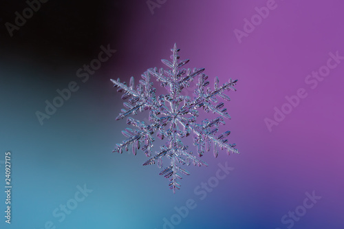 Beautiful Real Ice Crystal on a Coloured Background