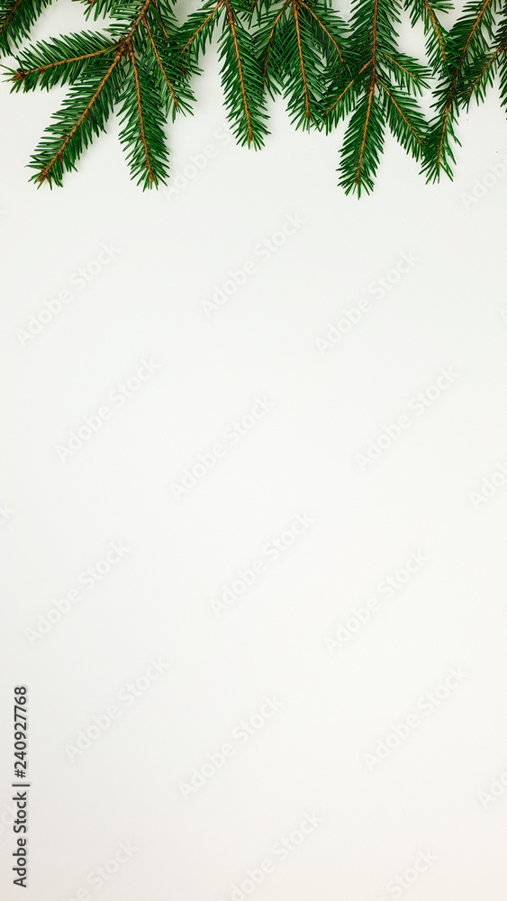Branches of the Christmas tree border on one side along the short edge on a white background, empty space and free space for text, insert Branches of the Christmas tree border on one side along the short edge on a white background, empty space and free space for text, insert