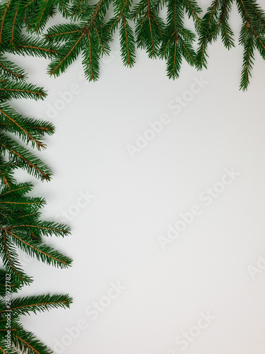 Branches of the Christmas tree border on one side of the long and short edge on a white background, empty space, free space for text, insert