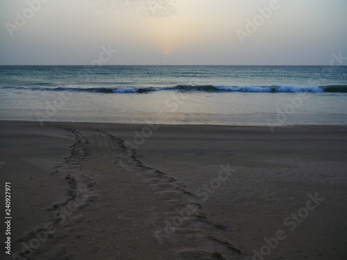 peaceful dawn scenery with beach, waves and turtle traces, near Ras al Hadd / al Jinz, Oman, Middle East 