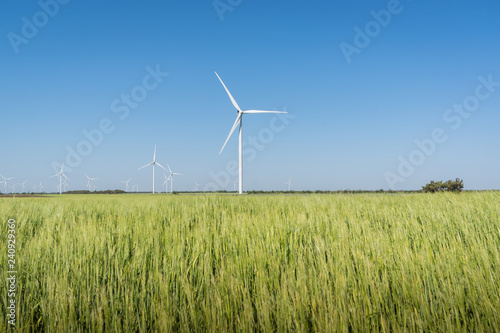 Landscape with wind generator turbine in green field wheat and blue sky background