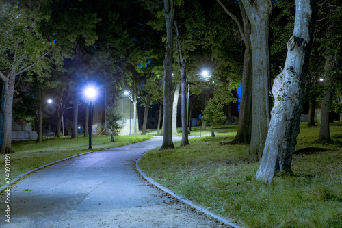 Dark city park seen at night with trees and street lights