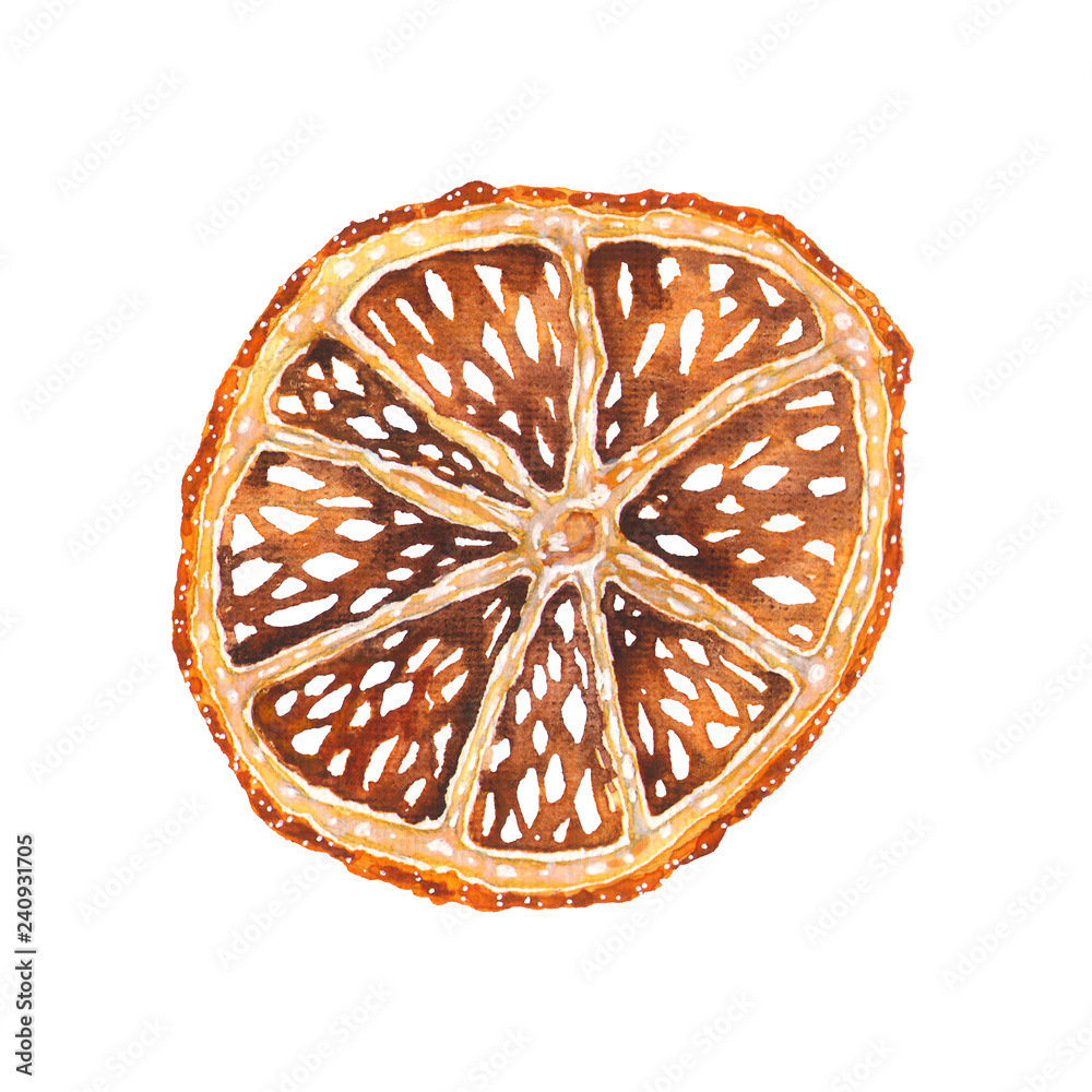 Dried orange slice isolated. Watercolor art