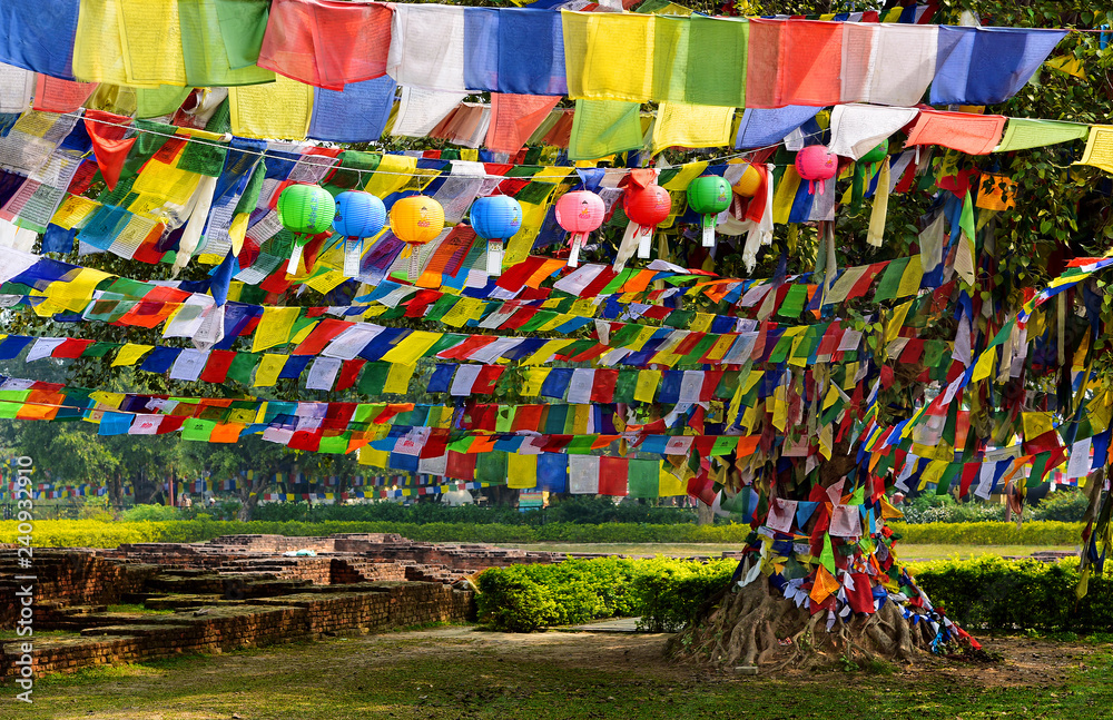 Prayer Flags tying all the Bodhi trees in most colorful of the ways at Lumbini Garden, the Buddha birthplace in Nepal