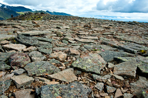 Steinplatten bedecken den Boden im Skaftafell Nationalpark Islands