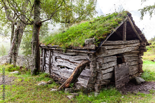 old wooden house in the forest