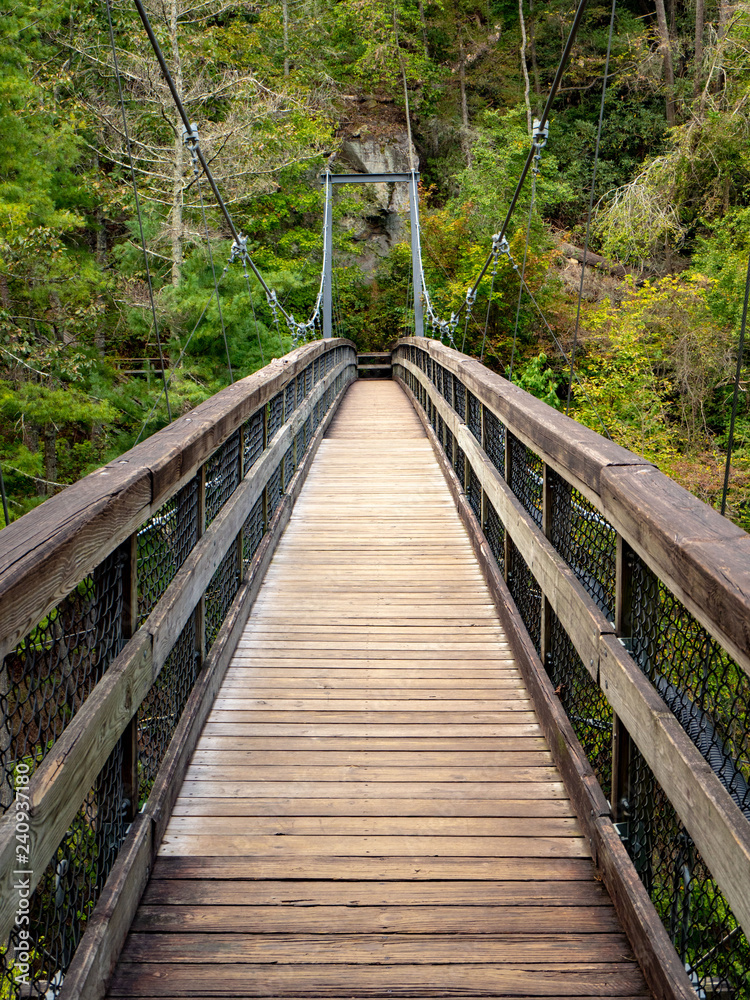 Obraz premium Tallulah Falls Bridge GA