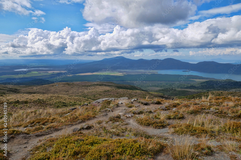 Trails merging above the treeline on Mt. Tongariro New Zealand