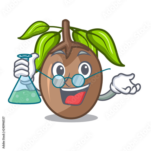 Professor sapodilla fruit isolated on the mascot