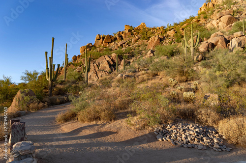 Obraz na płótnie Pinnacle Peak Sonoran Sunset