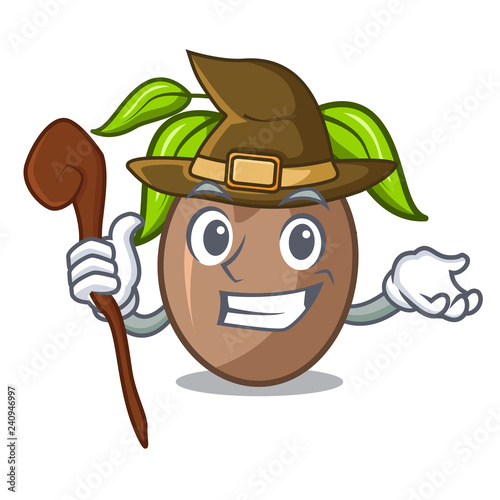 Witch sapodilla fruit cut in shape cartoon