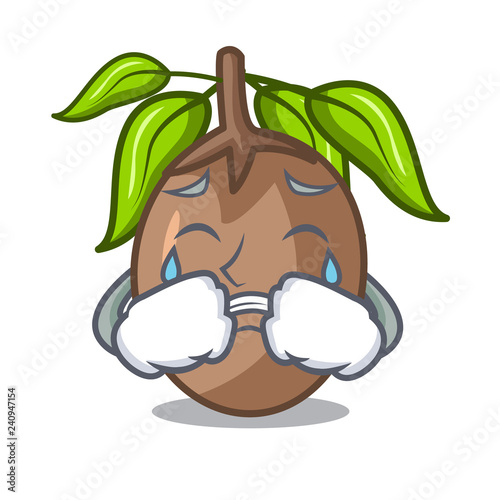 Crying sapodilla fruit cut in shape cartoon