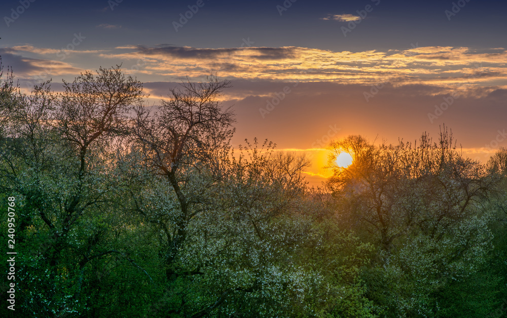 Obraz premium Sonnenuntergang in Deutschland badenwürtemberg