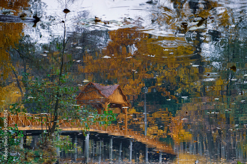 Wooden bridge over the river with a canopy. 