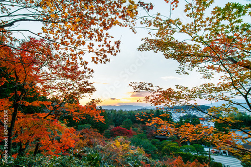 wonder garden in japan in autumn photo