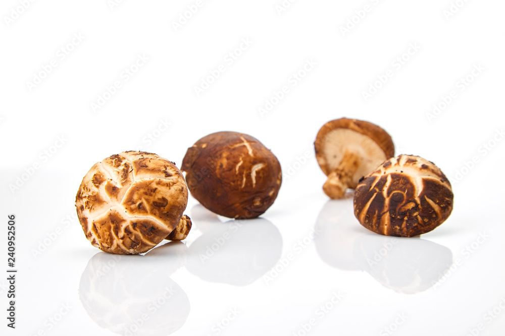 Shiitake mushroom on the White background Shiitake mushroom on the White background