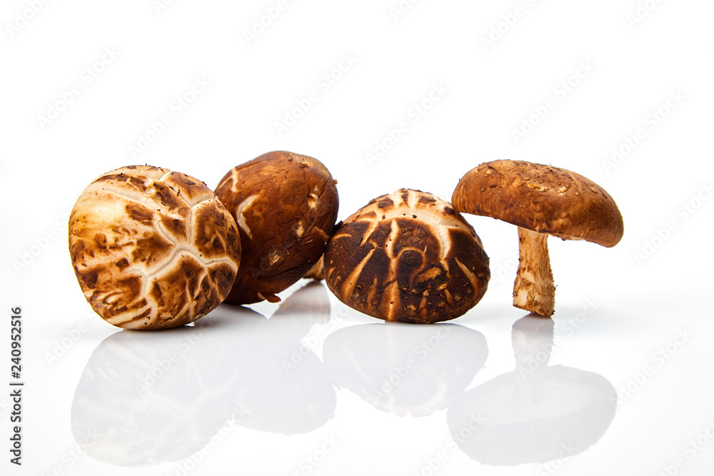 Shiitake mushroom on the White background Shiitake mushroom on the White background