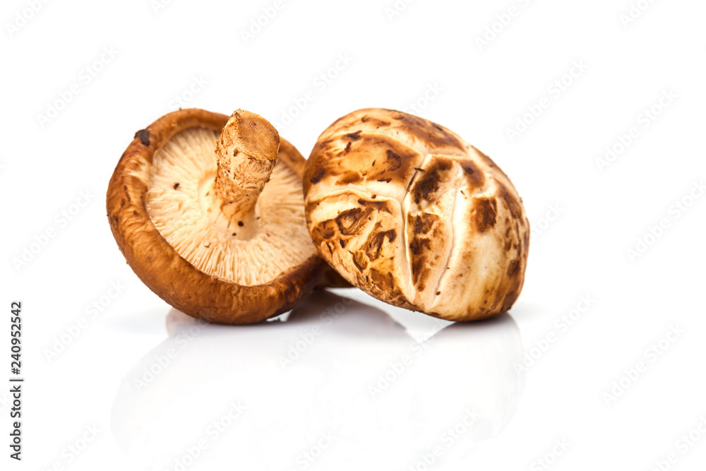 Shiitake mushroom on the White background Shiitake mushroom on the White background