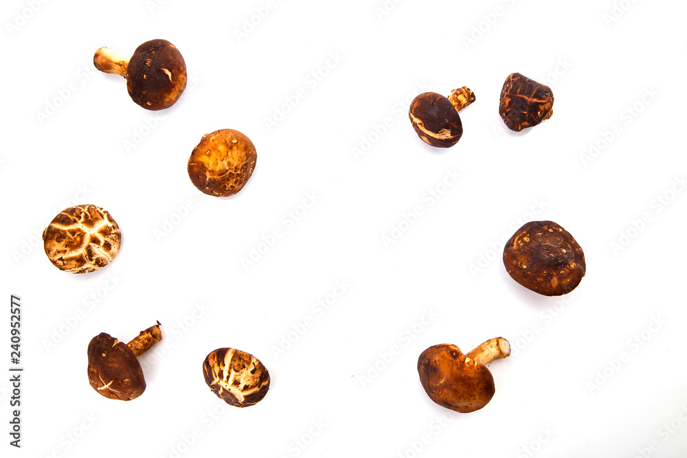 Shiitake mushroom on the White background Shiitake mushroom on the White background
