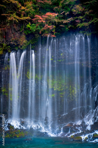 Fototapeta Naklejka Na Ścianę i Meble -  Shiraito waterfall in Autumn,Shizuoka, Japan