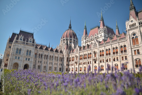 day view of the Parliament of Budapest, Hungary © mishadp