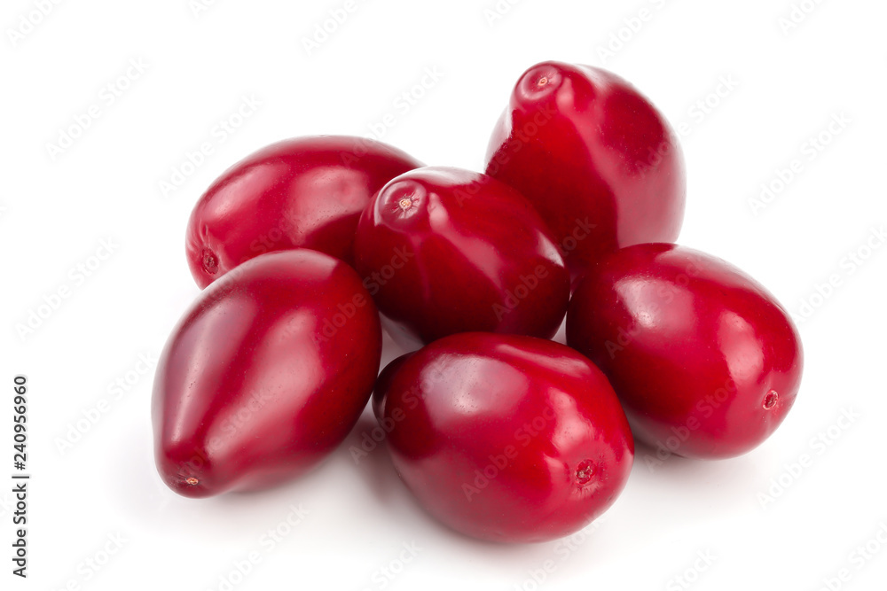 Red berries of cornel or dogwood isolated on white background Red berries of cornel or dogwood isolated on white background