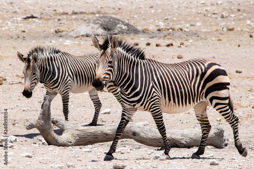 2018-10 Namibia