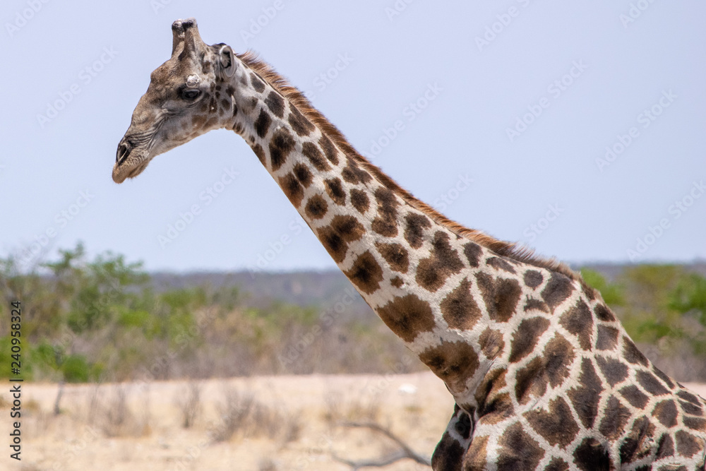 2018-10 Namibia 2018-10 Namibia