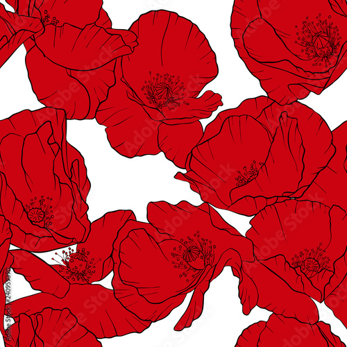 vector seamless pattern with drawing poppy flowers