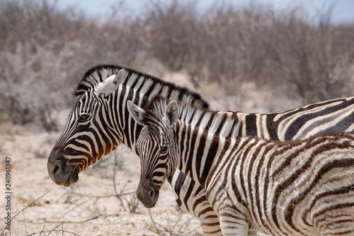 2018-10 Namibia