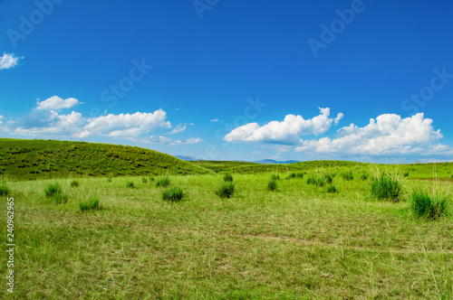 landscape with green field and blue sky © zhangke