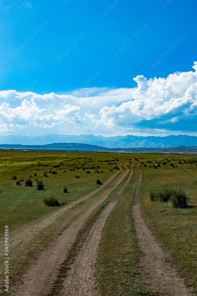 Obraz premium road in the field