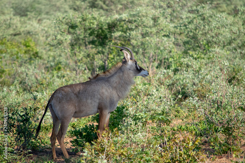 2018-10 Namibia