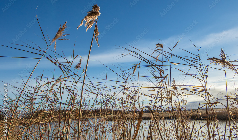 Obraz premium urlaub