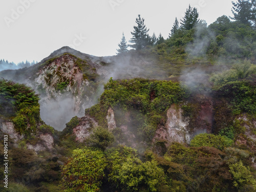 Prehistoric like landscape of New Zealand