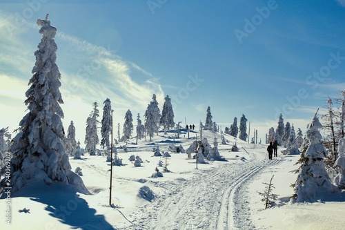 Modified cross-country ski trail in a snow covered landscape of the Golden Mountains (czech: Rychlebske hory), Czech Republic. photo