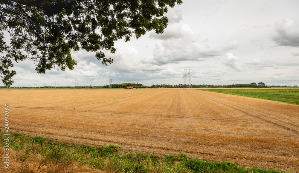 Wheat stubble field after harvesting Wheat stubble field after harvesting