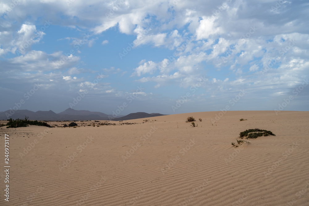 Corralejo Dunes Natural Park, Fuerteventura, Spain Corralejo Dunes Natural Park, Fuerteventura, Spain